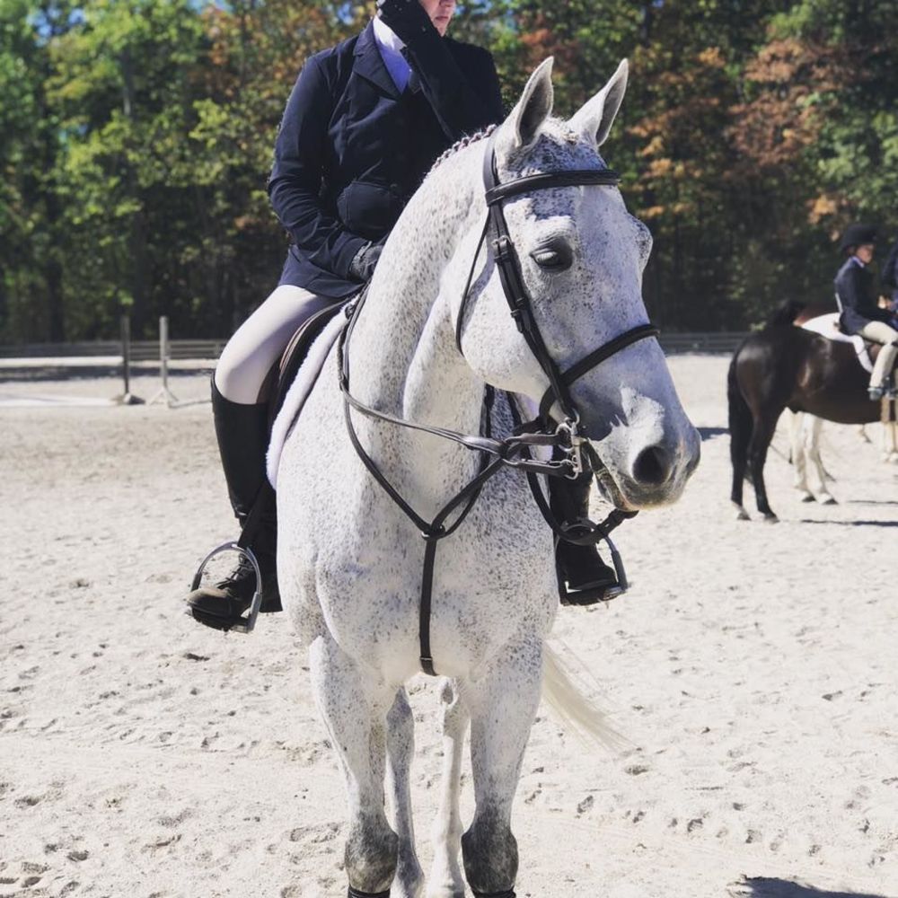 Meet your Posher, Abby